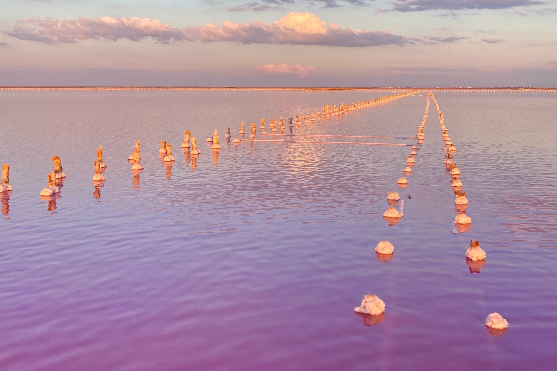 Вид на залив Донузлав и природу
